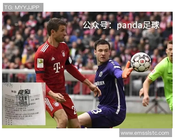 意大利与阿尔巴尼足球对决全面分析战术与球员表现 意大利与阿尔巴尼足球对决全面分析战术与球员表现