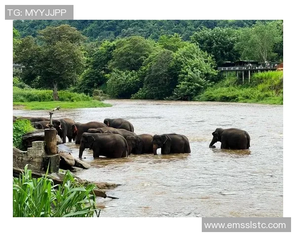 海南与斯里兰卡美景大比拼究竟哪个更胜一筹让我们一探究竟