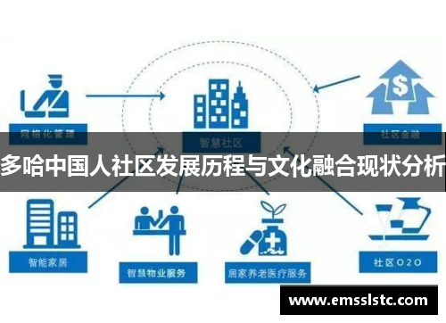 多哈中国人社区发展历程与文化融合现状分析