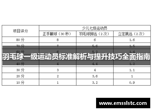 羽毛球一级运动员标准解析与提升技巧全面指南
