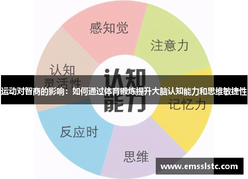 运动对智商的影响：如何通过体育锻炼提升大脑认知能力和思维敏捷性
